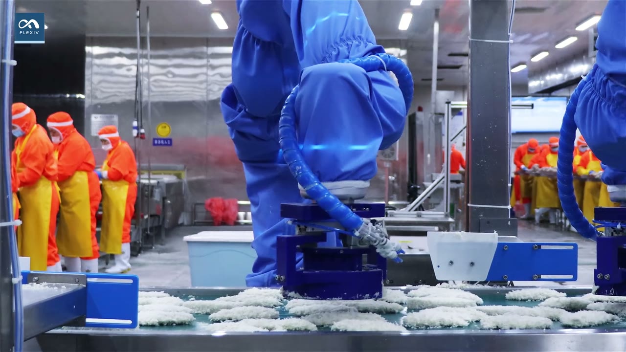 Automated Fish Fillet Shaping video preview